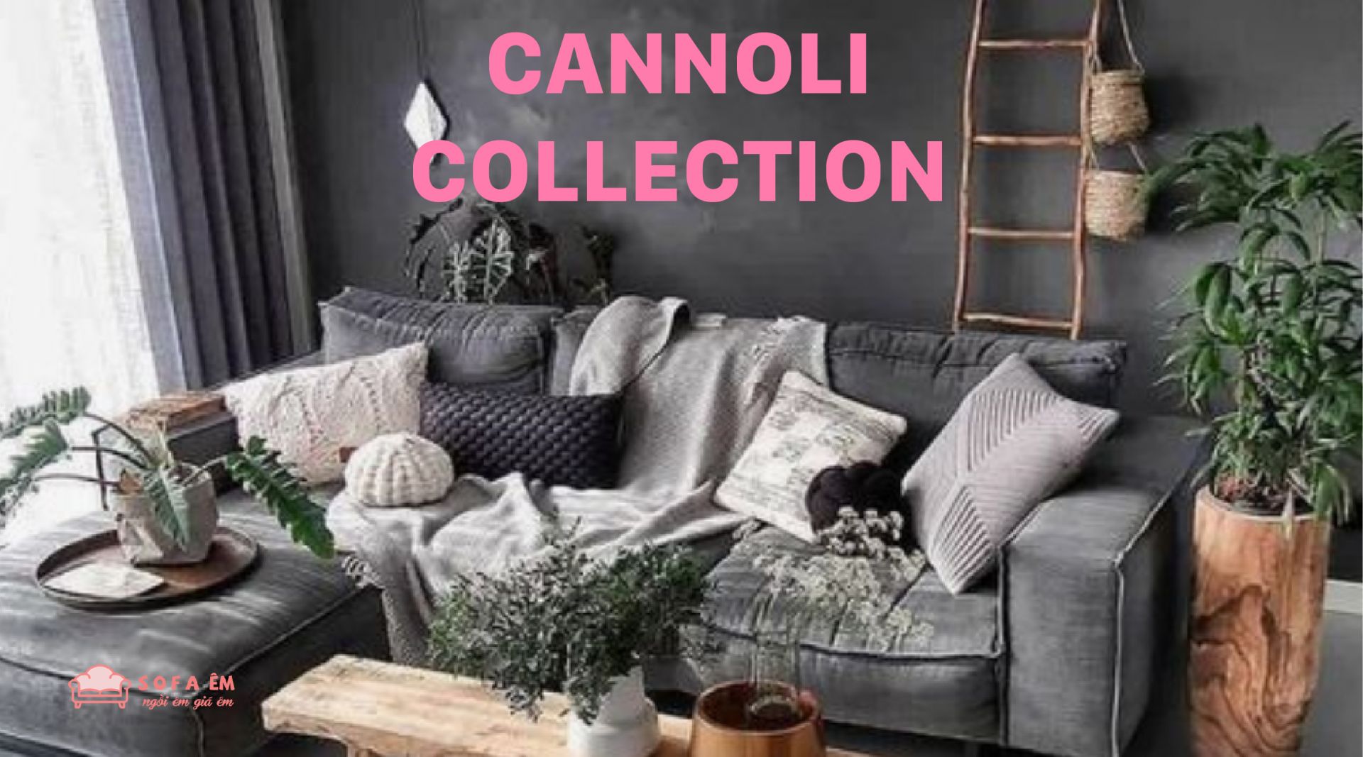 Cannoli Collection