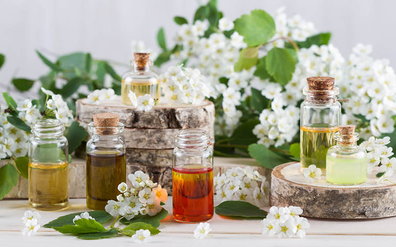 Dùng tinh dầu khử mùi hôi của ghế